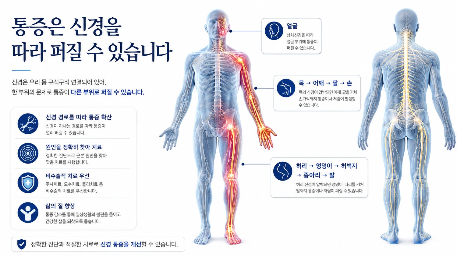 목에서 팔, 허리에서 다리로 이어지는 전신 신경 경로 맵